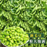 播种心情家庭种植蔬菜种子大全四季播种阳台盆栽农家庭院小菜园有机香菜菠 毛豆种子原装50粒2包
