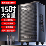 新科 （Shinco）广场舞音响户外大音量拉杆蓝牙音箱三喇叭重低音木质箱体家用K歌移动摆摊 15吋双咪
