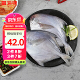 富海锦 渤海银鲳鱼 450g 3条 平鱼 火锅烧烤食材 烤鱼海鲜水产鱼类