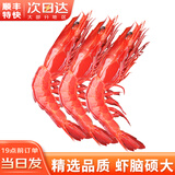 海万鲜 深海红魔虾 国产网红胭脂虾 绯红刺身虾西班牙魔鬼虾300g 特大号5-6条/盒 300g(净重)