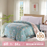 艾薇被套单件被罩纯棉温馨居家全棉双人被套200x230cm  清馨花园