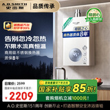 史密斯（A.O.SMITH）佳尼特16升精钢燃气热水器 国家补贴 不锈钢换热器包8年  恒温大水量  抗风防冻 JSQ31-TC1