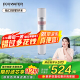 怡口净水（ECOWATER）净水器家用原装耗材 CTO-15滤芯 压缩活性炭滤芯 除异色异味改善口感 适配机型详询客服
