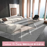 布迪思 地毯客厅地毯卧室茶几沙发毯可定制北欧简约现代满铺加厚防滑垫 新款4 200*300cm大客厅
