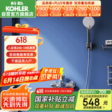 科勒（KOHLER）挂墙式淋浴花洒套装浴缸龙头家用手持花洒淋浴器 28580 带下出水
