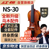 红棉（Kapok）手工实木小提琴入门练习学生儿童成人通用初学者考级NS-30 4/4
