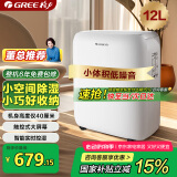 格力（GREE）【低噪小体积】除湿机/抽湿机家用除湿量12升/天单间参考面积24平24H定时除湿器DH12EN