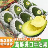 橙小士进口牛油果水果墨西哥秘鲁巨无霸鳄梨应当季宝宝水果辅食 8枚巨无霸装 单个170-210【g】