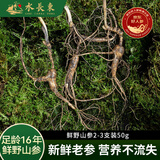 水长东新鲜野山参2-3支装50g礼盒16年长白山人参东北特产源头直发包邮