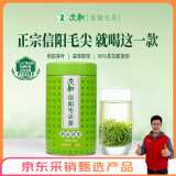 文新绿茶2025新茶上市放心好茶信阳毛尖一级200g雨前罐装