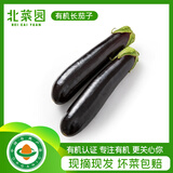 北菜园茄子有机紫长茄300g有机新鲜蔬菜烧烤食材