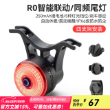 洛克兄弟（ROCKBROS）自行车尾灯USB充电骑行安全夜骑车灯警示灯公路山地车尾灯配件 智能同频刹车尾灯 RO (单个)