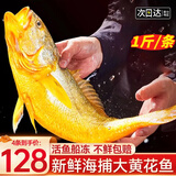 渔吻深海特大黄花鱼 冰鲜大黄鱼2斤一条 海鲜礼盒 生鲜鱼类 【4条】大黄花鱼500g/条