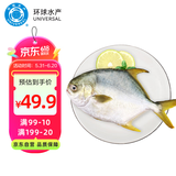 环球水产南海大规格金鲳鱼550g1条 BAP认证 海鱼 生鲜鱼类 火锅 海鲜水产