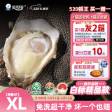 贝司令（BEISILING）【鲜活】乳山生态生蚝牡蛎贝类烧烤源头直发XL净重4斤16-22只装