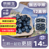 京鲜生 国产蓝莓 12盒14mm+装 125g/盒 生鲜水果 源头直发 包邮