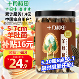 十月稻田 羊肚菌 30g（5-7cm）山珍菌菇干货 鸡汤煲汤火锅食材