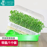 墨斗鱼 育苗盘芽苗菜育苗神器家用水培蔬菜发芽盆保温育苗播种托盘*1