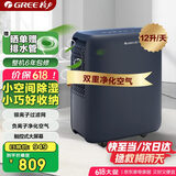 格力（GREE）【轻音小体积 空气净化】除湿机/抽湿机家用卧室客厅除湿器升级负离子净化适用面积24平DH12ENA1A