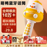 雷朗儿童话筒音响一体麦克风蓝牙唱歌1一6岁玩具男女孩生日礼物
