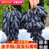 甜蜜蓝宝石葡萄新鲜水果整串美人指金手指无籽黑提子顺丰 3斤