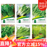 花沃里6款蔬菜种子种苗大全 白菜生菜香菜鸡毛菜菠菜胡萝卜阳台盆栽种籽
