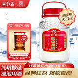 红荔牌米香型白酒 50度浸泡酒5L 红荔红米酒广东米酒青梅药材养生酒泡酒