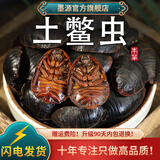 墨源土元土鳖虫中药材土元虫地鳖虫士鳖虫非野生土元干非金边打土元粉 土元250克【新货】