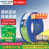正泰（CHNT） 电线电缆电源线BVR铜芯多芯铜线多股家装软线10米 散剪不退换 BVR6双色 10米