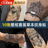 凌云鹤纹身贴持久洗不掉贴纸防水男士草本纹身贴女魅魔花臂半永久不反光 酷炫套装 10张 【草本果汁半永久】