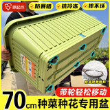 原起点种菜专用盆蔬菜种植箱家用神器大号花盆长方形条塑料户外庭院阳台 【1个】70cm长带轮·视窗款 升级款第三代