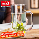 青苹果带把茶杯水杯 啤酒杯扎啤杯 无铅玻璃杯饮料杯可乐杯 320ML