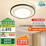 雷士（NVC） led吸顶灯书房主卧次卧室灯温馨浪漫灯具铁艺灯具北欧后现代灯饰 48W 15㎡内适用 3404lm 智控圆灯