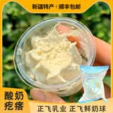 正飞新疆特产正飞鲜奶酸奶疙瘩生牛乳奶酪杯20杯鲜奶球【顺丰空运】 哈密瓜+原味各10杯