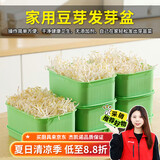 杰凯诺豆芽发芽器发豆芽神器发芽盆专用育苗盘水培种菜盆 绿色带盖