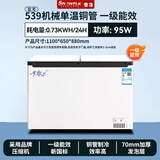 雪花【十年联保】【以旧换新】铜管冰柜商用大容量家用冷冻冷藏两用卧式单温双温冷冻小型冰箱大冰柜 雅白色539【铜管速冻+一级节能】 288L