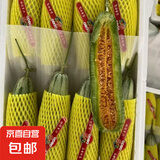 山东甜瓜 脆甜蜜瓜多汁 农家自种 生鲜水果整箱包邮 羊角蜜净重2250g单果克重:≥250g