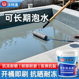 沃特浦防水涂料屋顶防水补漏材料楼顶楼面裂缝防水胶鱼池水池房顶防漏王 【水泥色】 2斤 单遍约2平方+工具