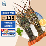 鲟食 生鲜小青龙新鲜冷冻龙虾 国产超大青龙虾 海鲜大虾送礼 2只*1.2-1.5斤/只 大青龙虾