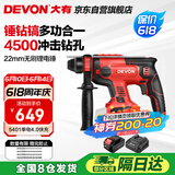 大有（Devon）20V工业级无刷充电锂电电锤5401打混凝土电镐开凿4.0Ah单电快充