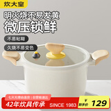 炊大皇 汤锅 微压不粘快煮煲汤煮汤复底汤锅 电磁炉电陶炉通用 22cm