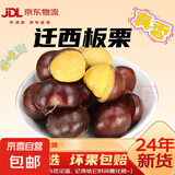 【超市品质】正宗迁西新鲜老树板栗源头直发新鲜蔬菜生鲜可生吃 迁西老树板栗 小果 500g