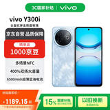 vivo Y300i 12GB+256GB 雾凇蓝 全面抗摔金刚盾玻璃 6500mAh超薄蓝海电池【赠话费券】国家补贴