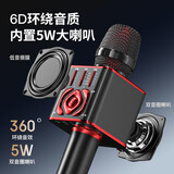 纽曼（Newmine） MC29 手机麦克风无线蓝牙话筒掌上主播直播声卡动圈麦音箱一体K歌宝 轻享版