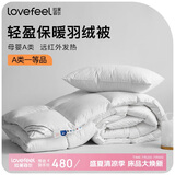 拉芙菲尔五星级酒店母婴A类抗菌51%白鸭绒国产羽绒被春秋被3.8斤220*240CM
