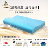 嘉唯（JAHVERY）枕头记忆棉枕颈椎枕高低悬浮护颈枕颈椎病成人睡觉专用睡眠矫正枕 蓝精灵粉粒凝胶柔酥高低枕 I系（60*40*11/9cm）