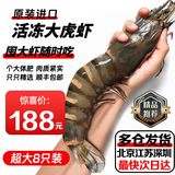 尝鲜生 超大黑虎虾越南进口巨型特大虾金刚虾海鲜 斑节对虾老虎虾 超大8只装 800g(净重)  长22-25cm