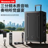 纽曼N527 15寸广场舞蓝牙音箱大功率户外移动便携式拉杆家用K歌大音量无线音响超长续航双麦 17喇叭