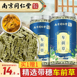 仁景全南京同仁堂 车前草 买1送1车轮菜泡茶牛舌草精选带穗