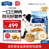 伯纳天纯三拼冻干牛肉粒肉松犬粮20kg/40斤